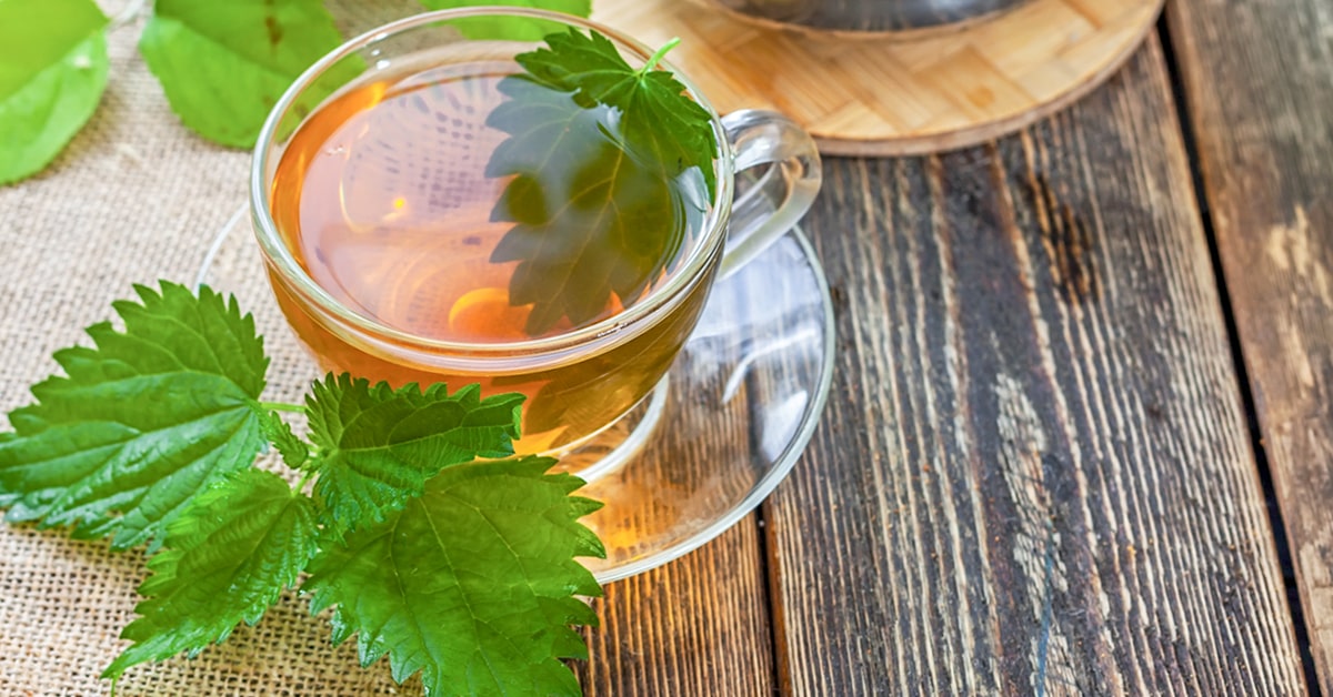 Žihľavový čaj na stole. Žihľava sa používa pre svoje mnohé priaznivé účinky na organizmus.