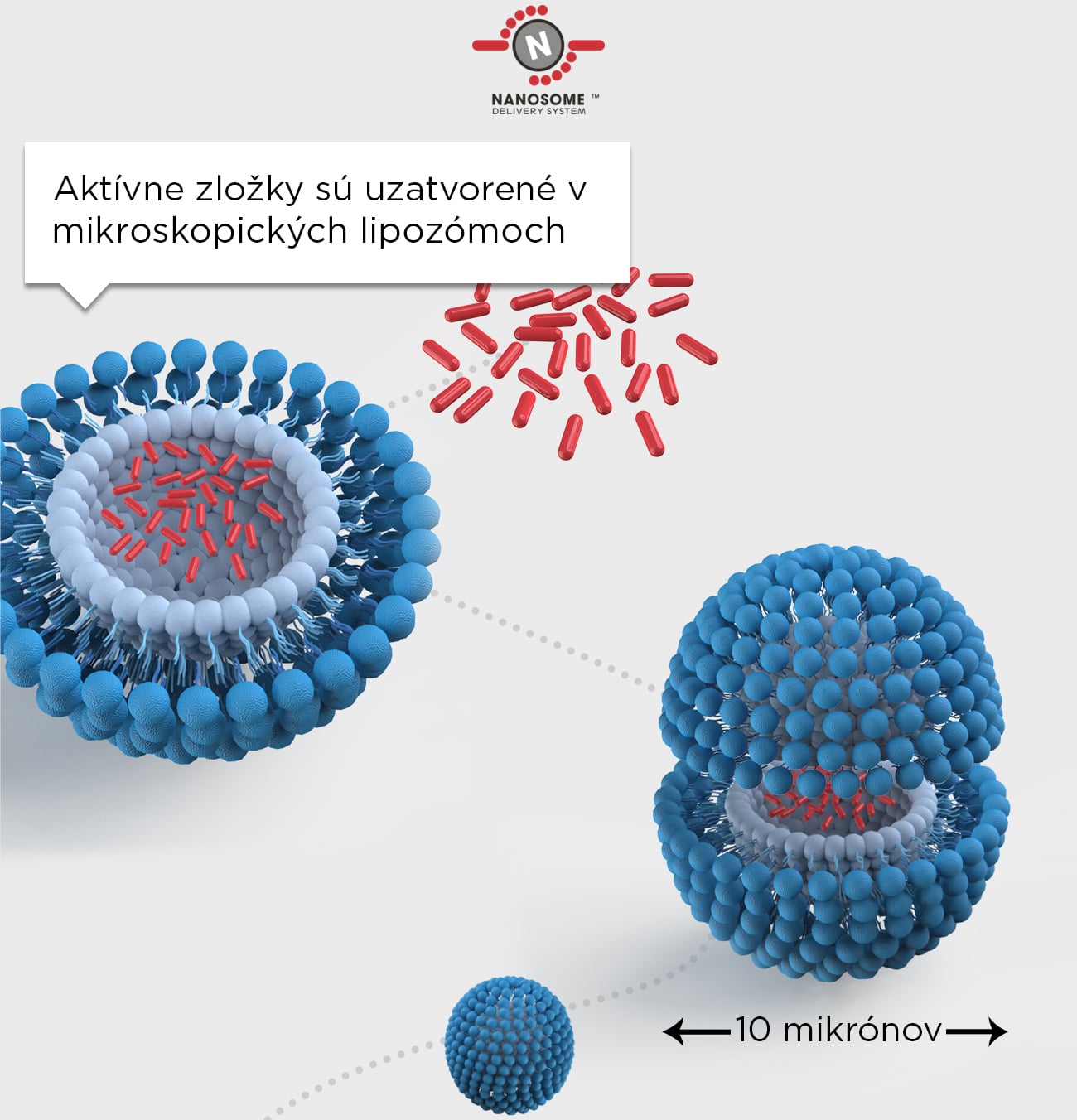 Tchnológia nanosomov pre lepšie dodanie výživných látok do pokožky - aktívne zložky sú uzatvorené v mikroskopických lipozómoch. 